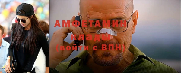 ГАЛЛЮЦИНОГЕННЫЕ ГРИБЫ Вязники
