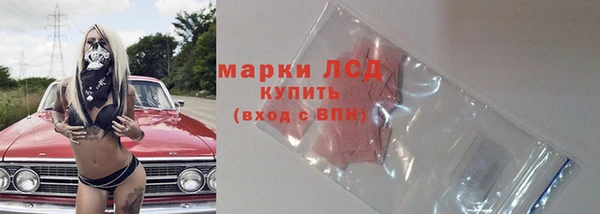 ГАЛЛЮЦИНОГЕННЫЕ ГРИБЫ Вязники