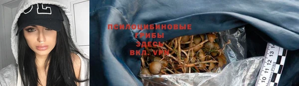 меф Вяземский