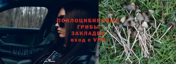 наркотики Вязьма