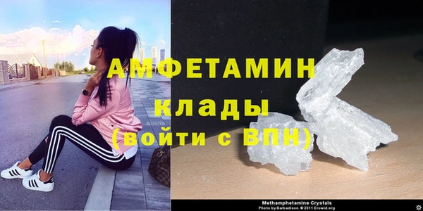 ГАЛЛЮЦИНОГЕННЫЕ ГРИБЫ Вязники