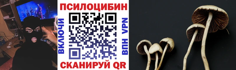 Купить  Куйбышев  Галлюциногенные грибы Cubensis 