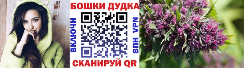 Купить закладки  Куйбышев  Шишки марихуана планчик 